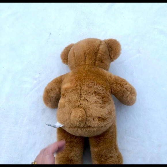 Build-a-Bear Teddy Bear Caramel Plush - Picture 6 of 6